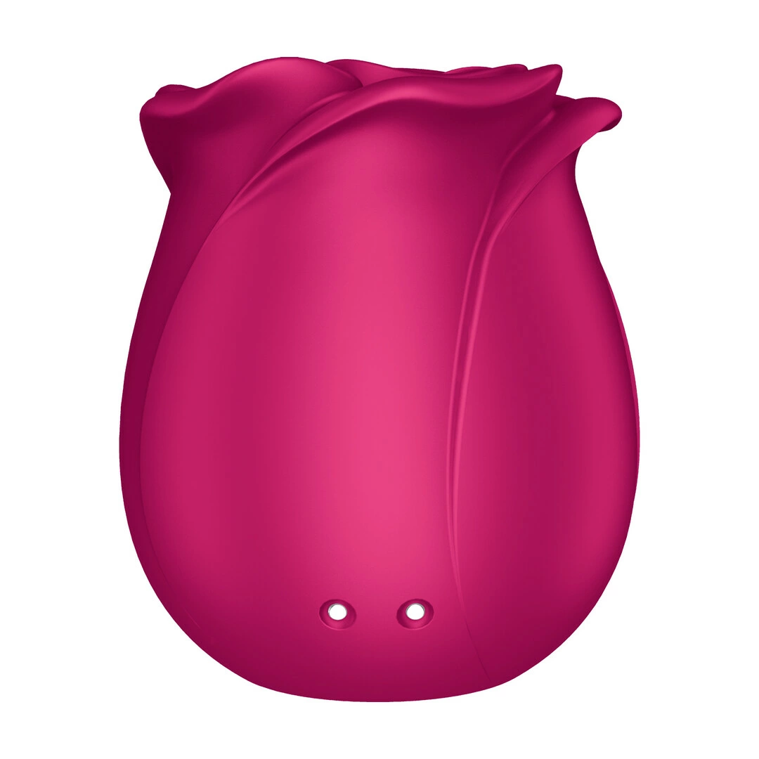 Satisfyer Pro 2 Modern Blossom klitorio stimuliatorius, rožinis