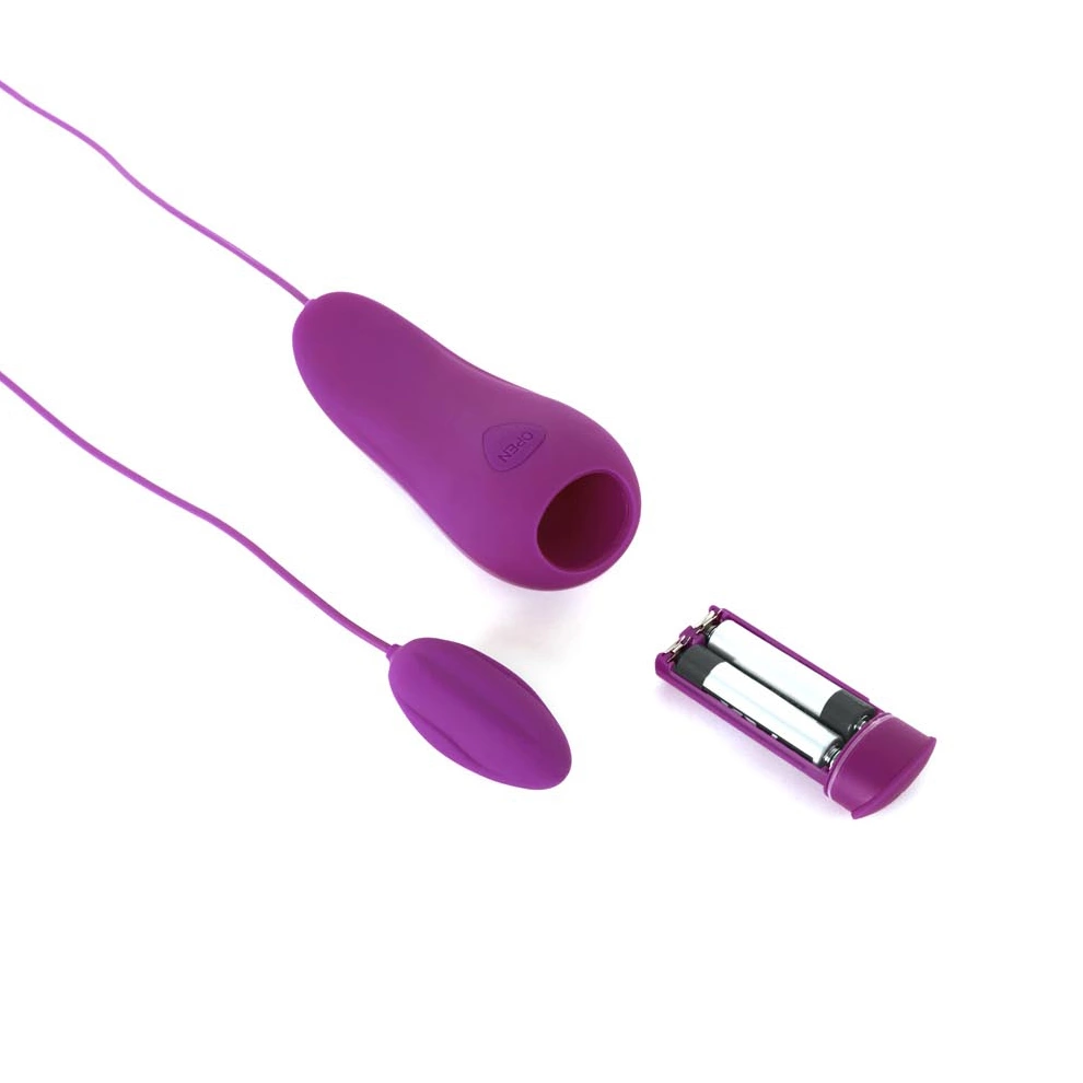 B Swish bnaughty Deluxe vibruojantis kiaušinėlis su laidiniu pulteliu, Raspberry